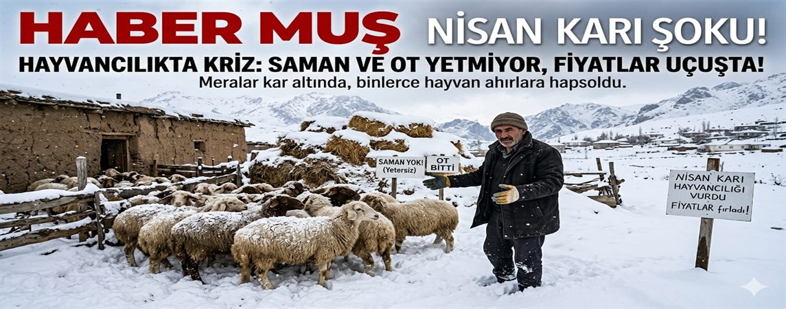 *Muş’ta Hayvancılık Sektörüne Nisan Darbesi: Saman ve Ot Fiyatları El Yakıyor!*